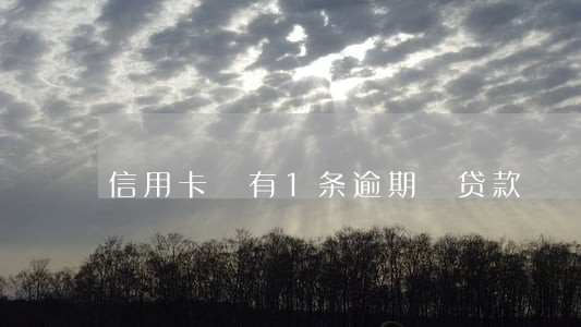信用卡 有1条逾期 贷款 信用卡 有1条逾期 贷款